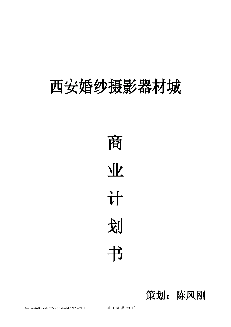 西安照材市场策划方案合作版_第1页