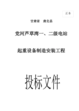 芦草弯一二级电站桥机投标书