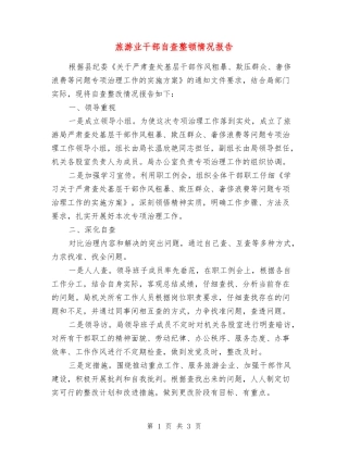 旅游业干部自查整顿情况报告