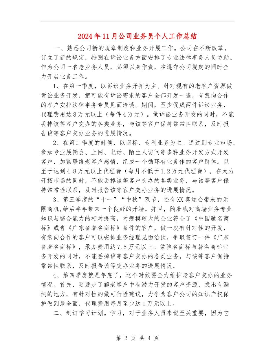 2024年11月公司业务员个人工作总结_第2页
