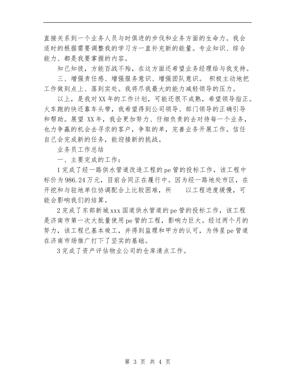 2024年11月公司业务员个人工作总结_第3页