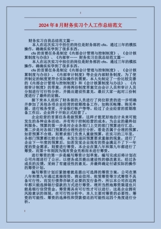 2024年8月财务实习个人工作总结范文