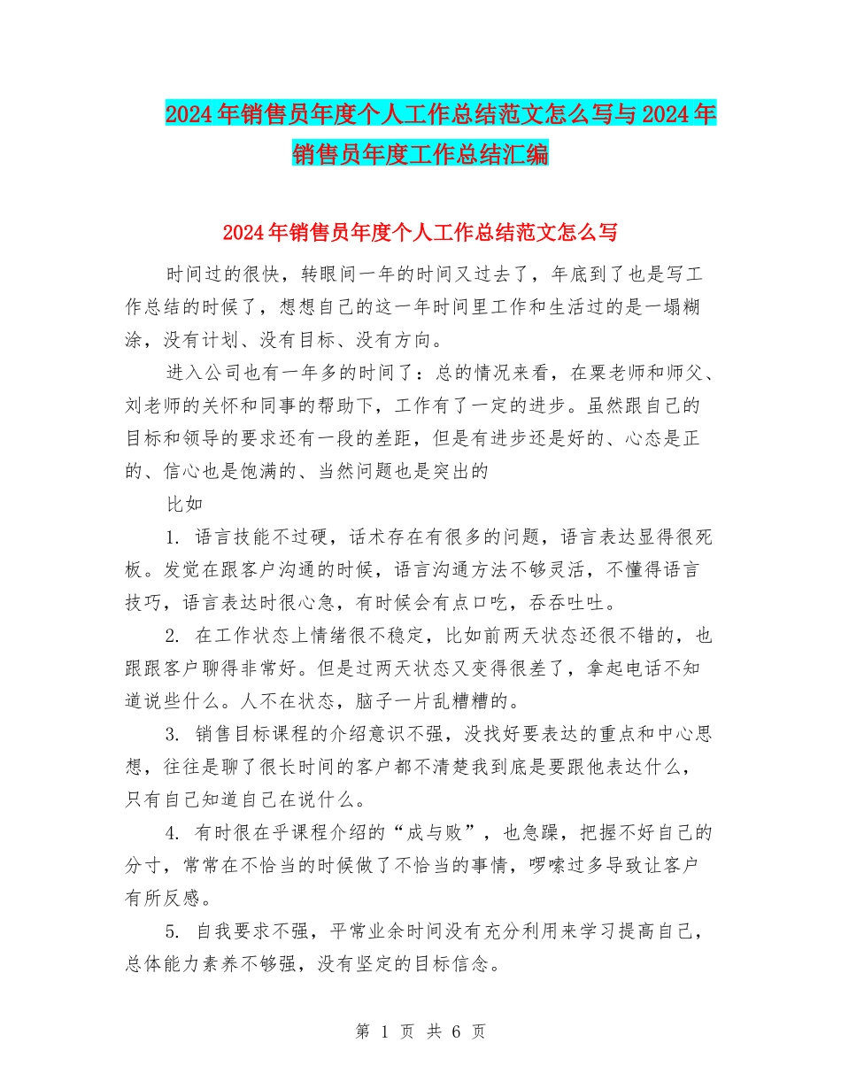 2024年销售员年度个人工作总结范文怎么写与2024年销售员年度工作总结汇编_第1页