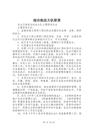 综合执法大队职责要求