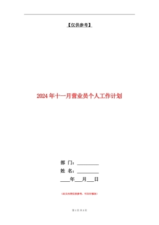 2024年十一月营业员个人工作计划