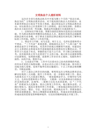 文明执法个人透析材料