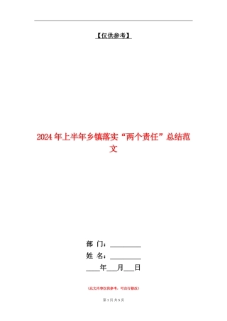 2024年上半年乡镇落实“两个责任”总结范文