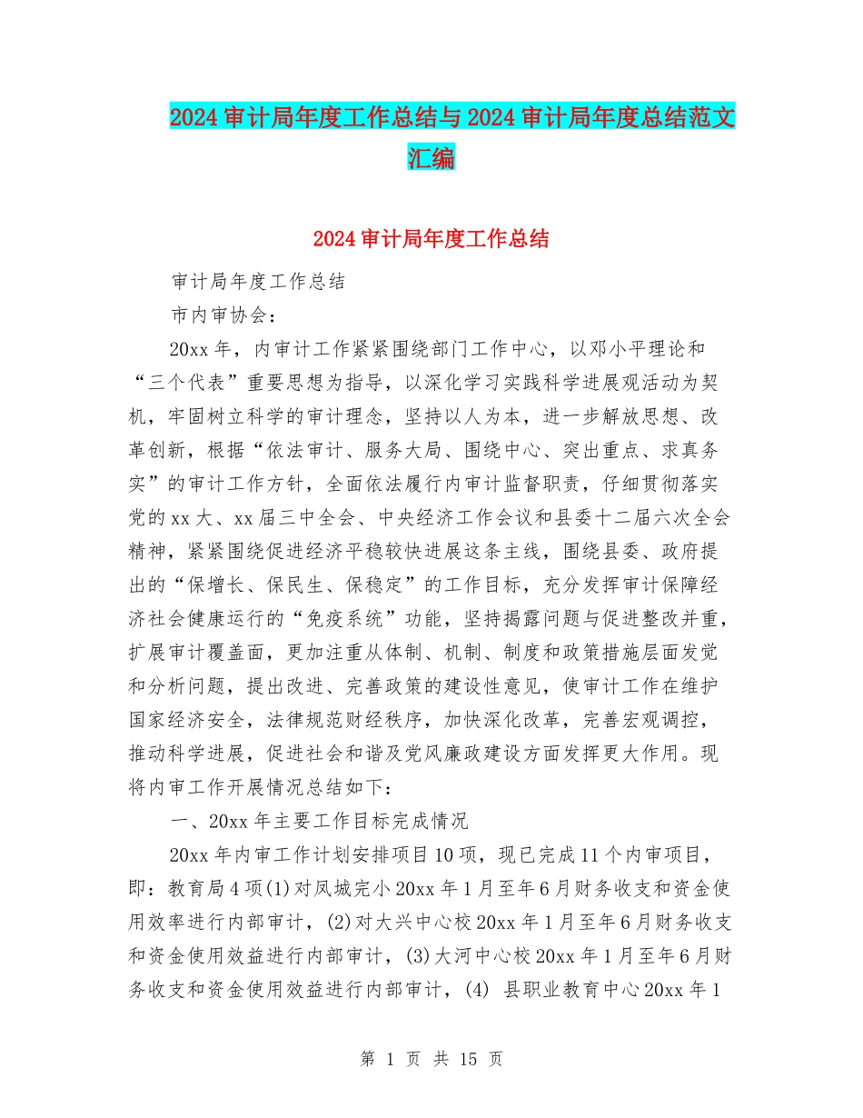 2024审计局年度工作总结与2024审计局年度总结范文汇编_第1页