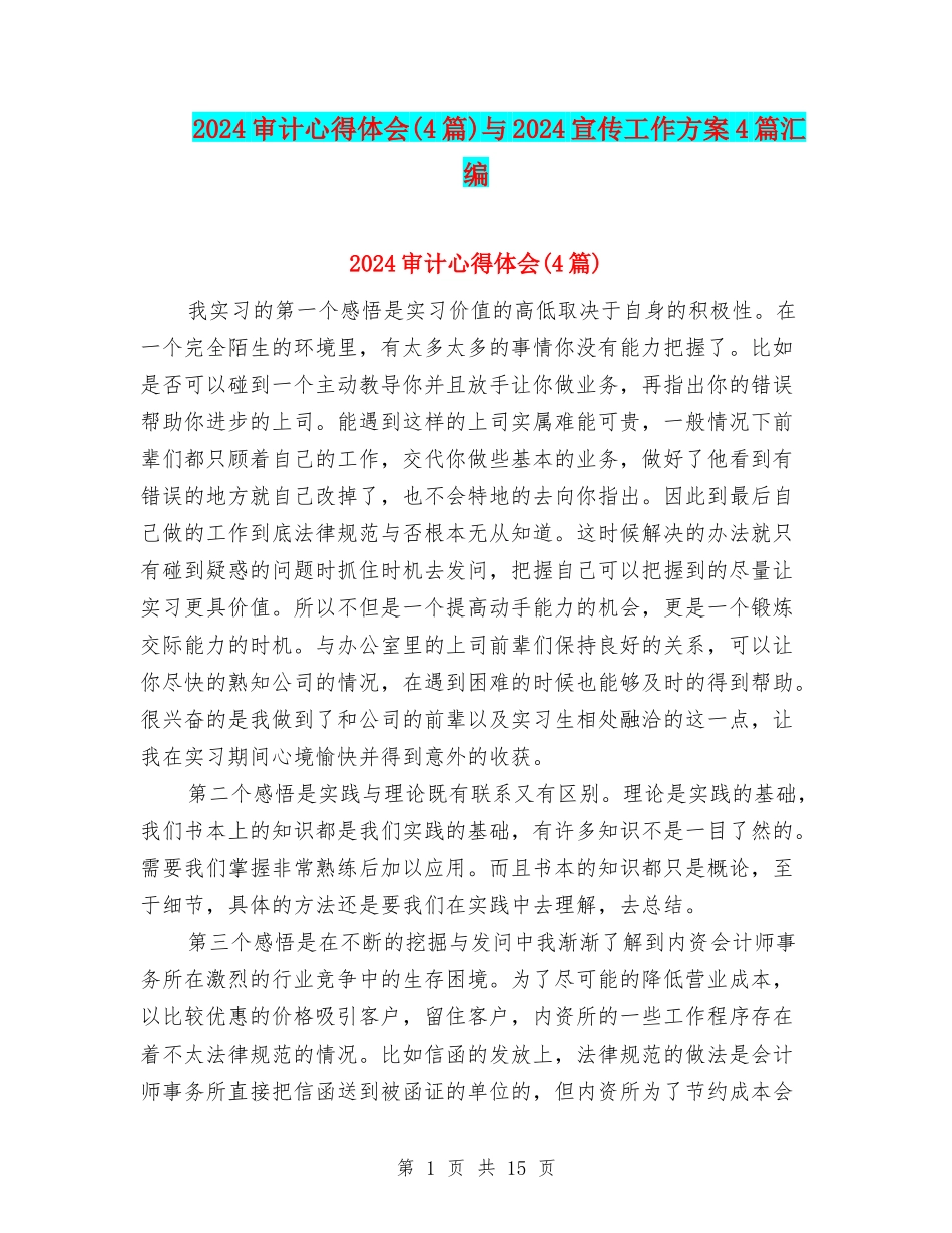 2024审计心得体会与2024宣传工作方案4篇汇编_第1页