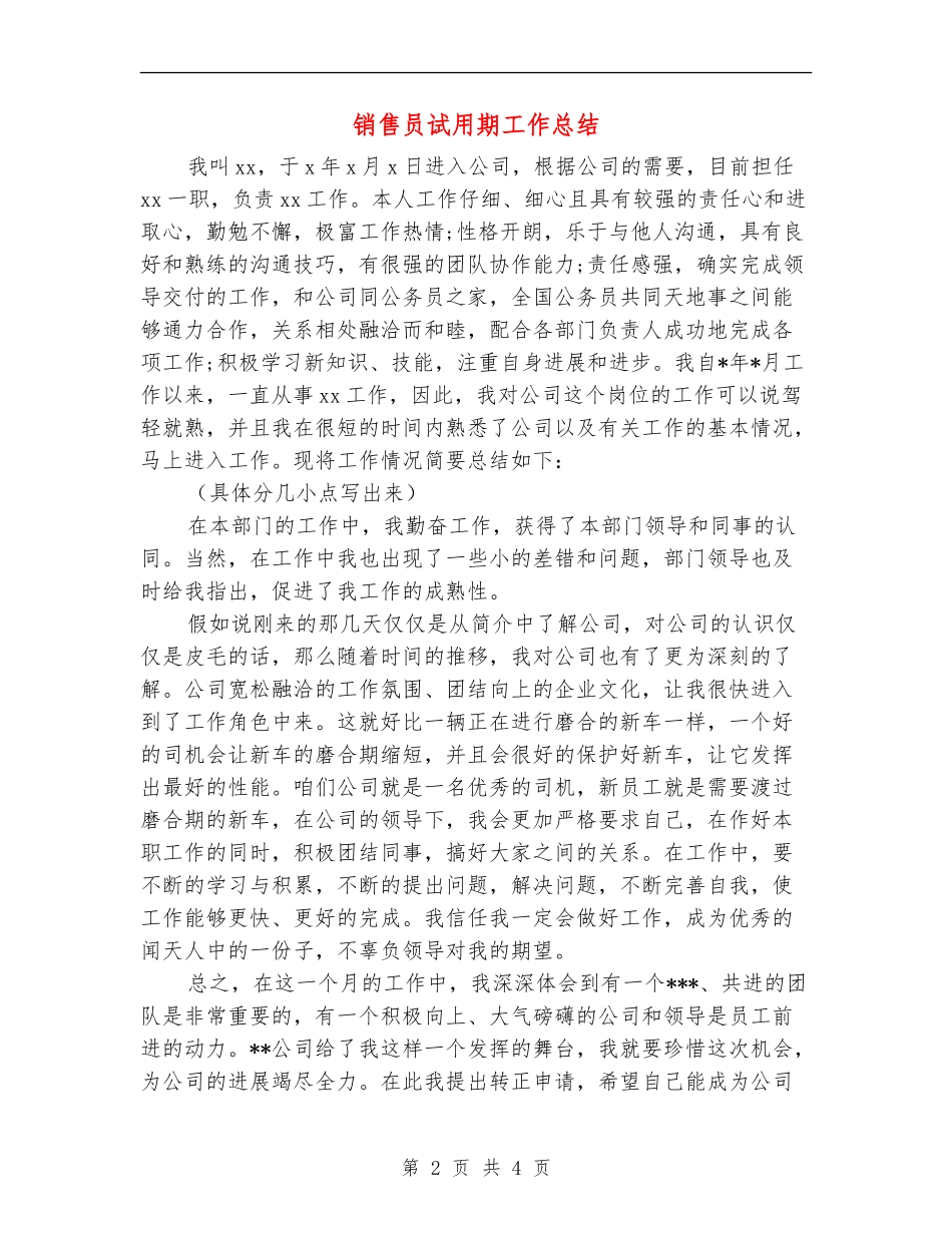 销售员试用期工作总结_第2页