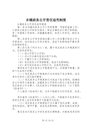 乡镇政务公开责任追究规章制度