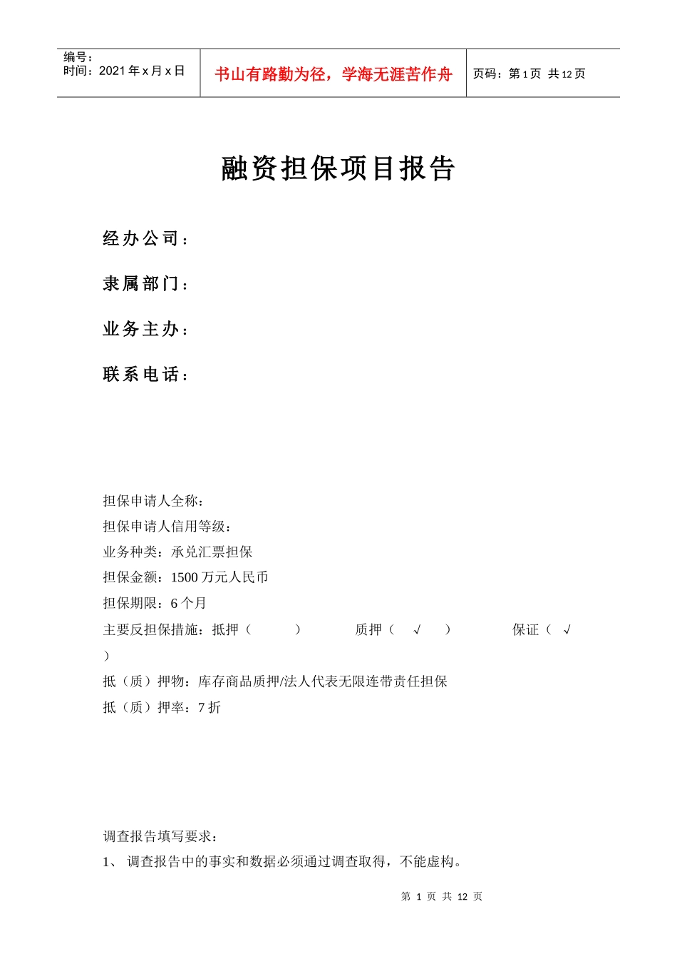 融资担保项目分析报告（范例）_第1页