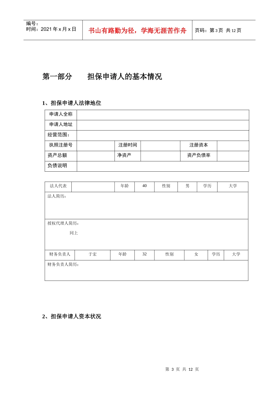 融资担保项目分析报告（范例）_第3页