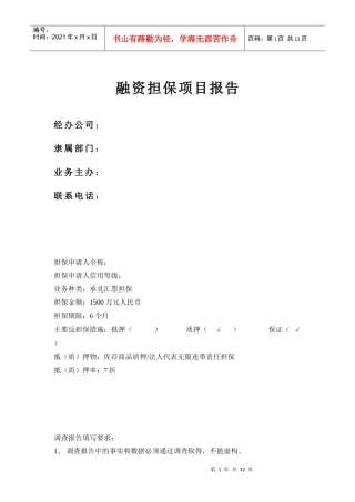 融资担保项目分析报告（范例）