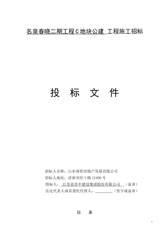 苏中技术标标书