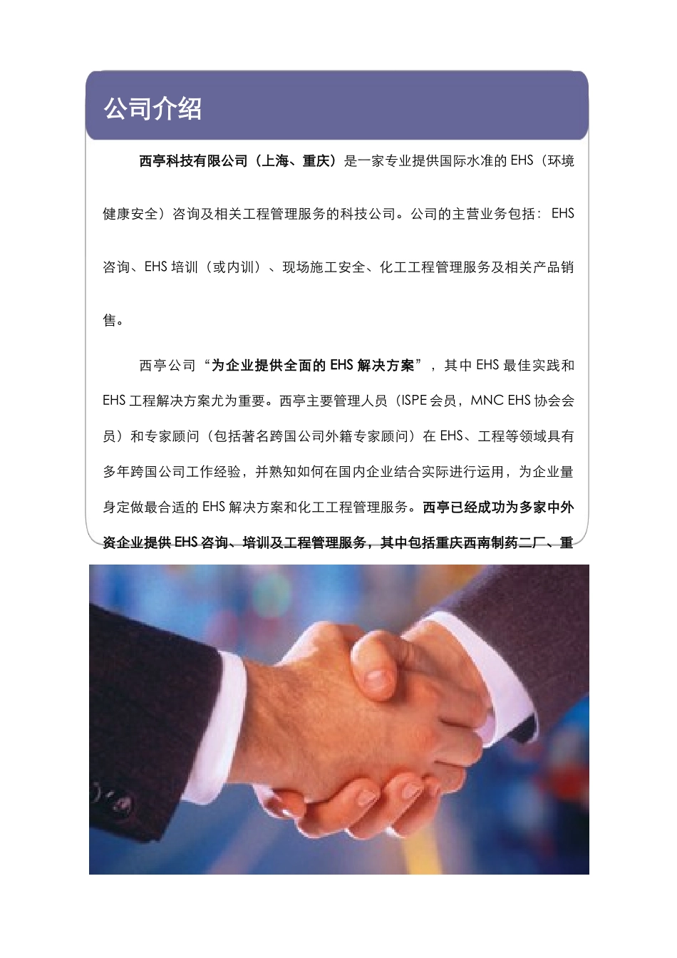 西亭公司宣传手册正式版_第2页