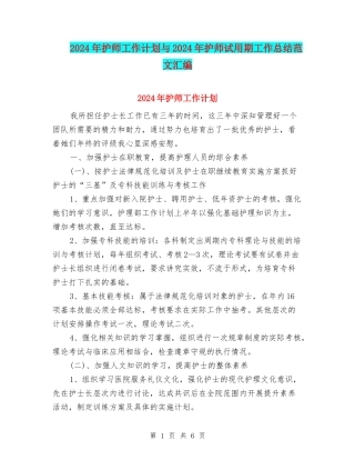 2024年护师工作计划与2024年护师试用期工作总结范文汇编