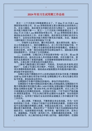 2024年实习生试用期工作总结