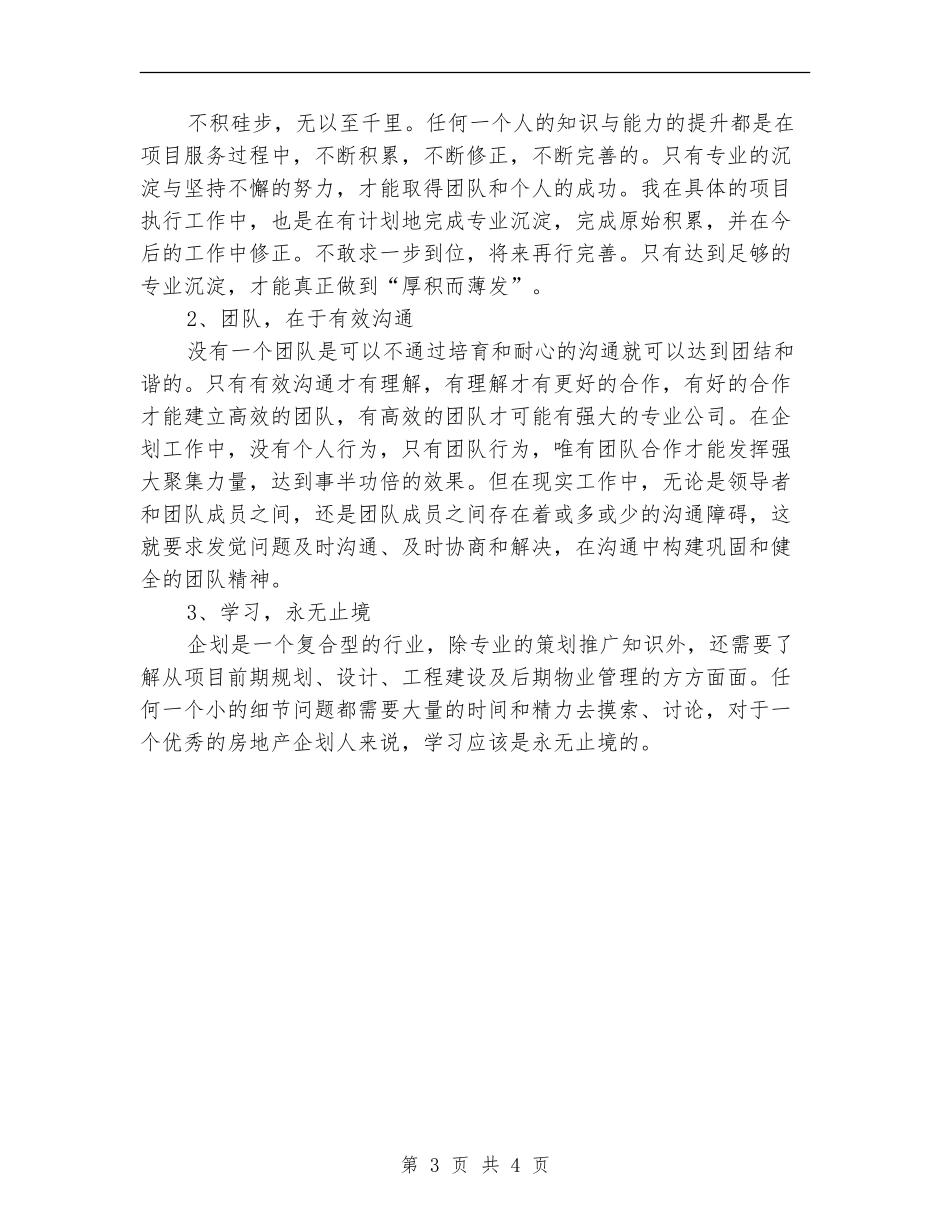 项目策划人员工作总结_第3页