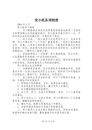 党小组各项规章制度