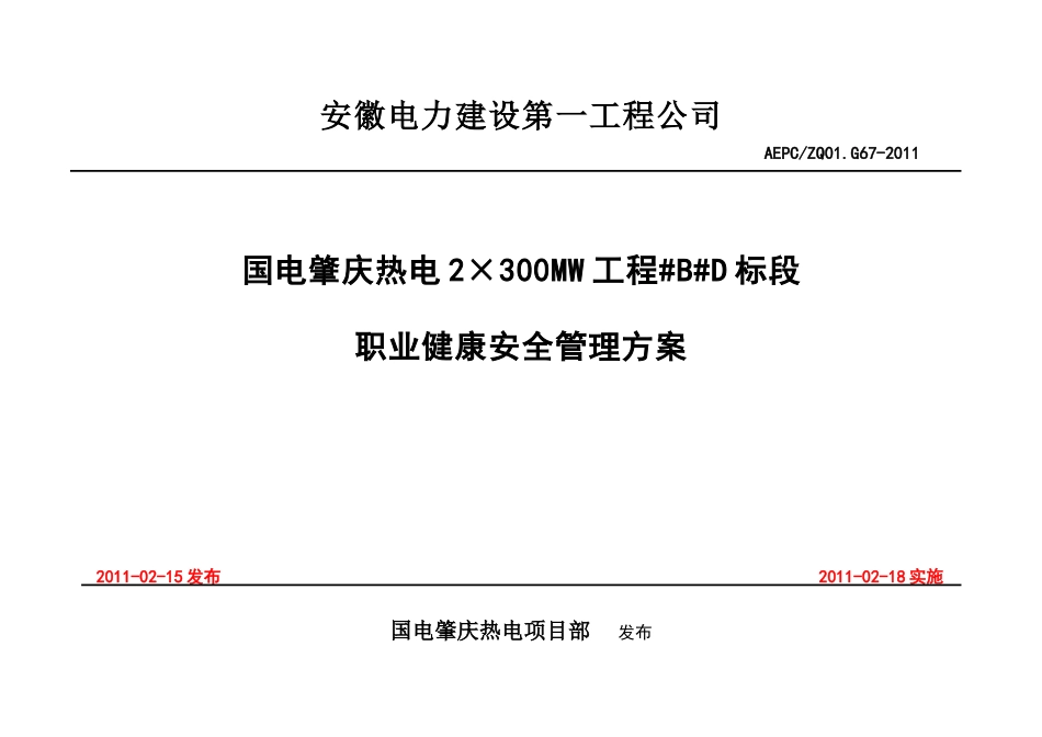 肇庆项目管理方案_第1页