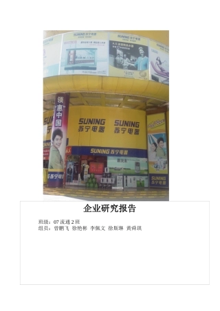 苏宁电器股份有限公司发展概况