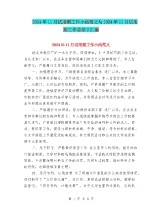 2024年11月试用期工作小结范文与2024年11月试用期工作总结2汇编