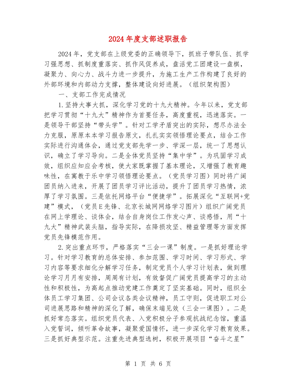 2024年度支部述职报告_第1页