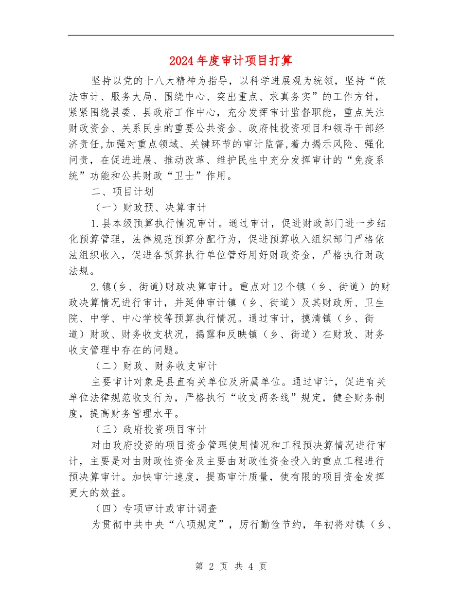 2024年度审计项目打算_第2页