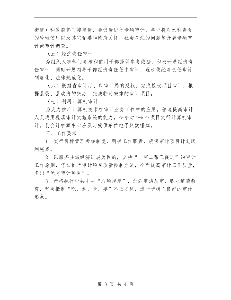 2024年度审计项目打算_第3页