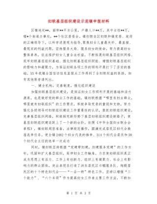 妇联基层组织建设示范镇申报材料