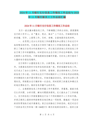 2024年11月银行支行信息工作情况工作总结与2024年11月银行新员工工作总结汇编