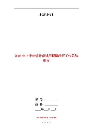 2024年上半年统计员试用期满转正工作总结范文