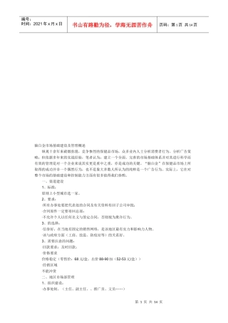 脑白金市场基础建设与管理