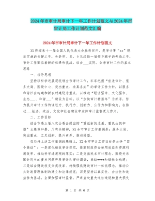 2024年市审计局审计下一年工作计划范文与2024年市审计局工作计划范文汇编.doc