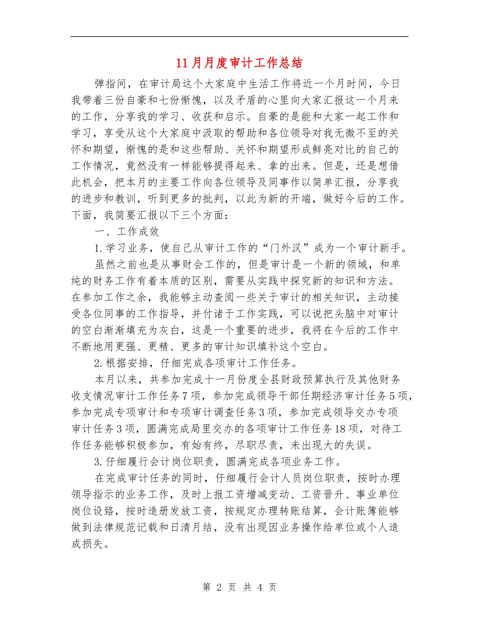 11月月度审计工作总结_第2页