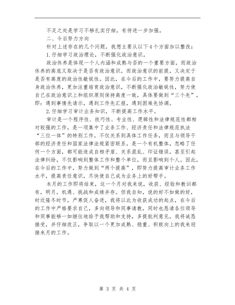 11月月度审计工作总结_第3页