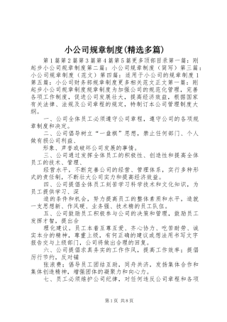 小公司规章规章制度(精选多篇)
