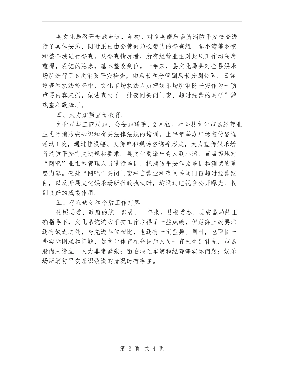 文化局消防年终工作总结_第3页