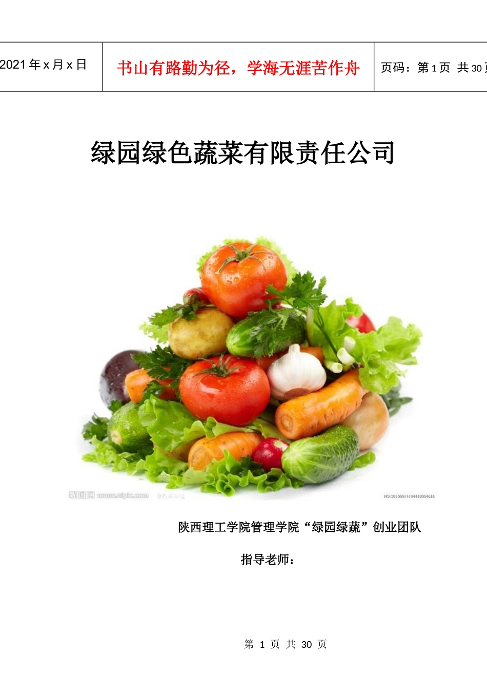 绿色蔬菜创业计划书_第1页