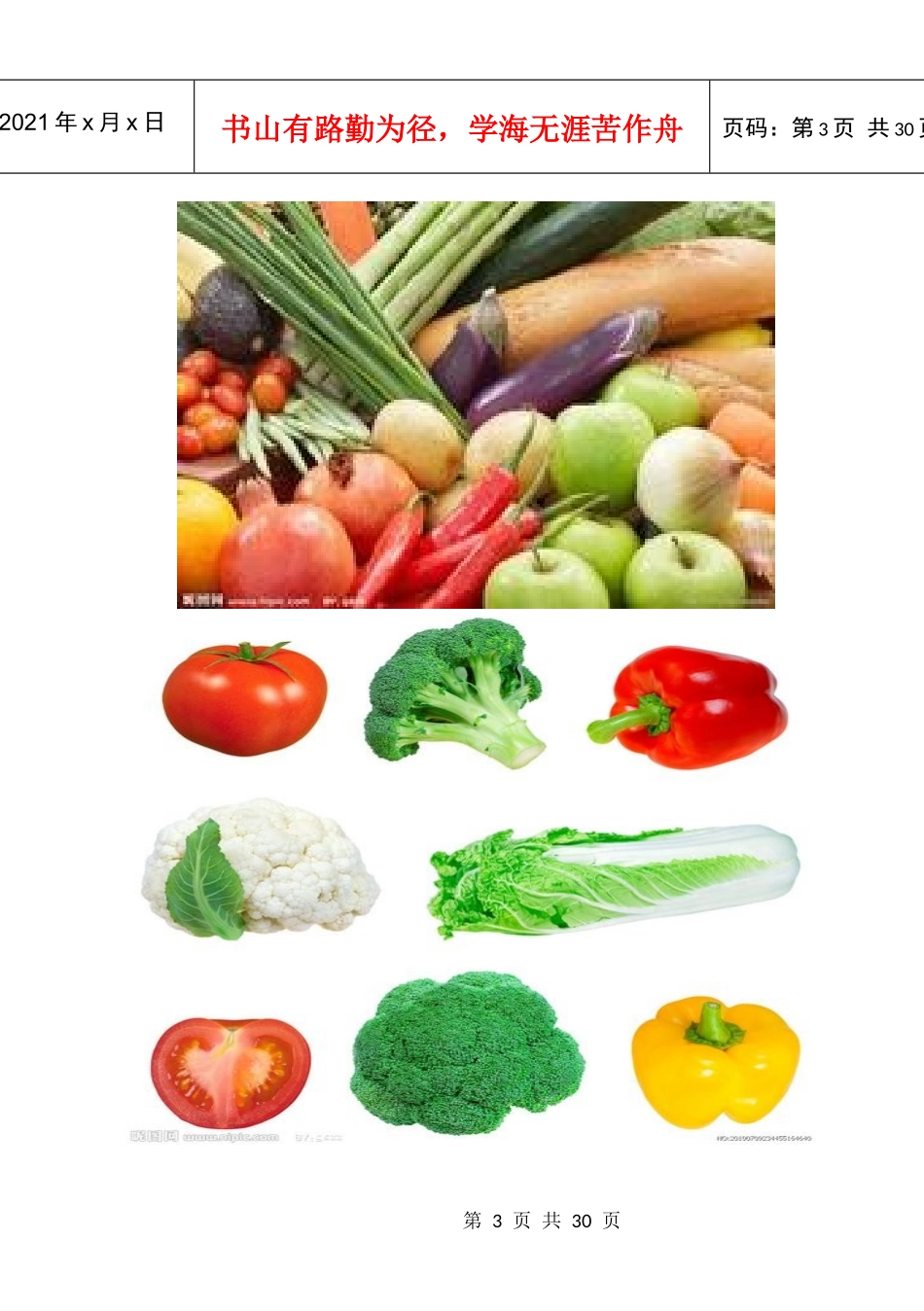 绿色蔬菜创业计划书_第3页