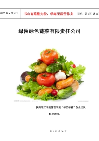 绿色蔬菜创业计划书