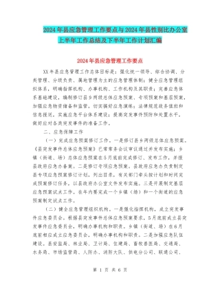 2024年县应急管理工作要点与2024年县性别比办公室上半年工作总结及下半年工作计划汇编