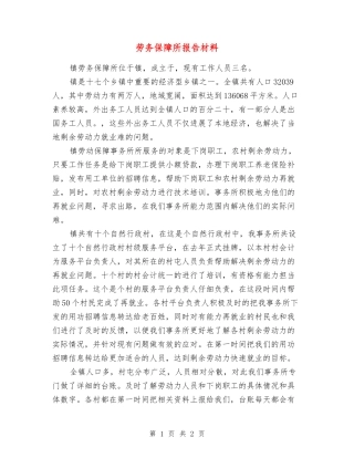 劳务保障所报告材料