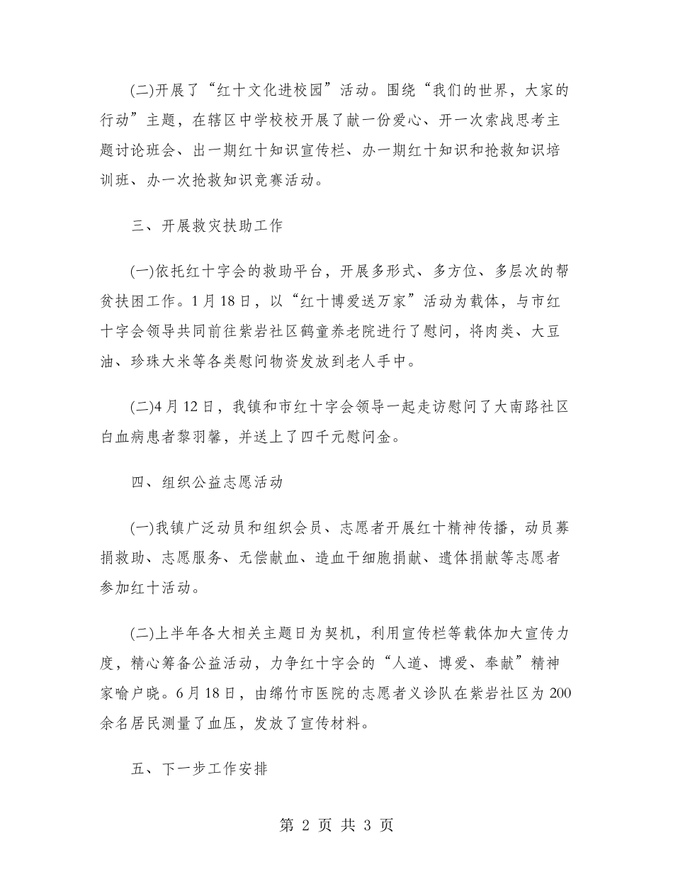 2024年镇红十字会工作总结范文_第2页