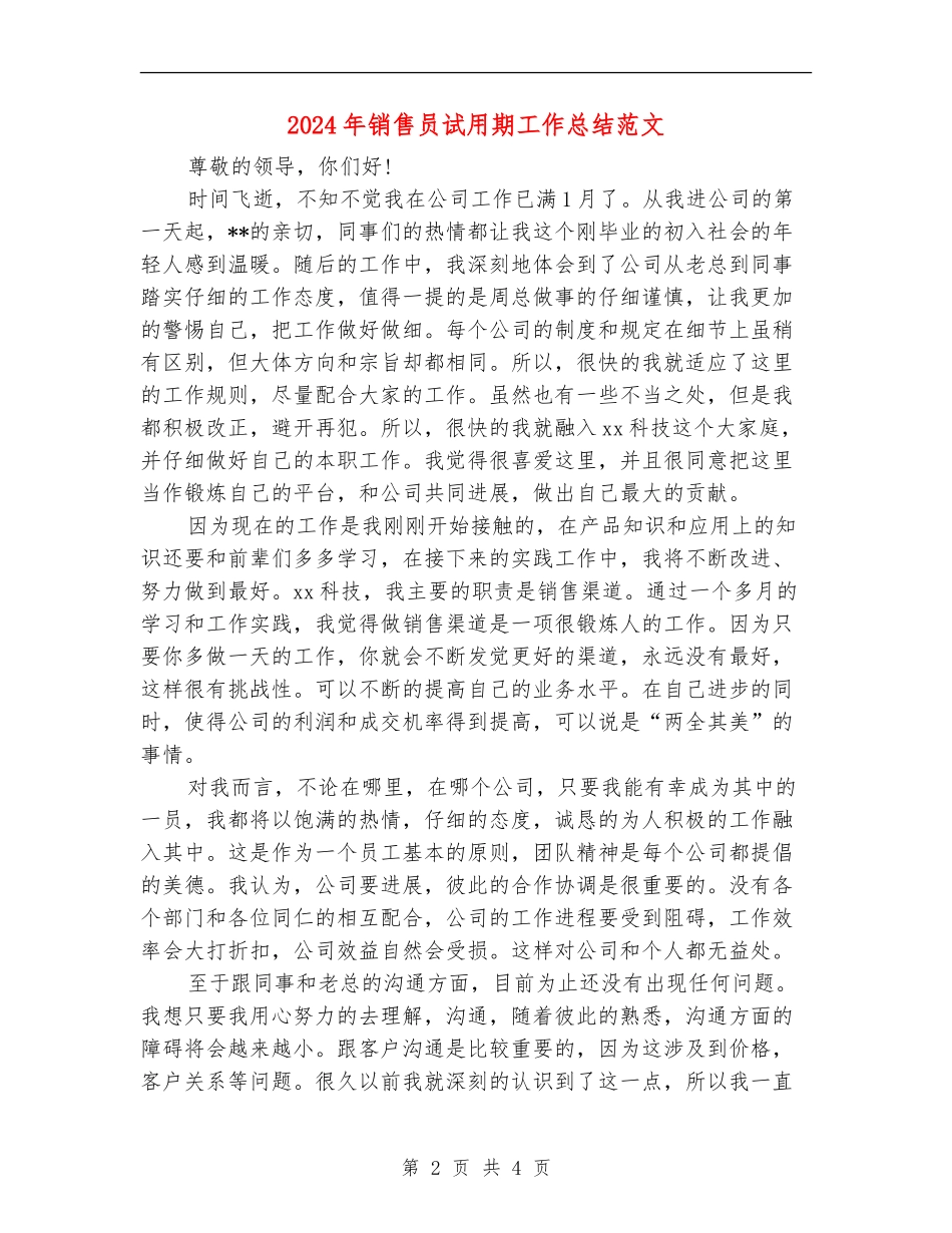 2024年销售员试用期工作总结范文【最新版】_第2页