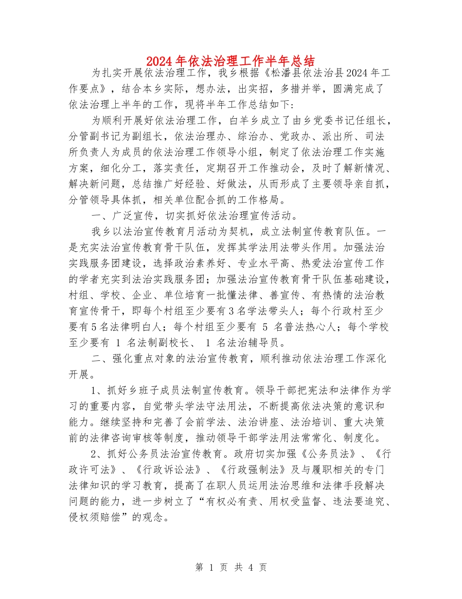 2024年依法治理工作半年总结_第1页