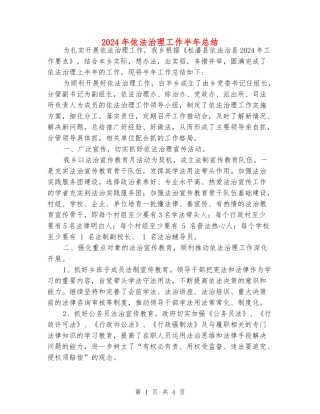 2024年依法治理工作半年总结