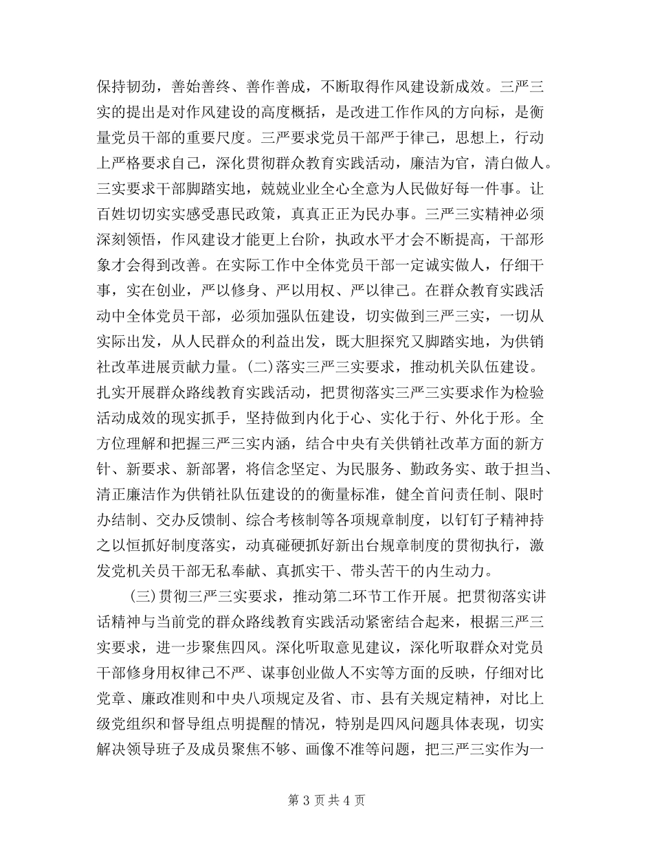 2024年8月三严三实调查报告范文_第3页
