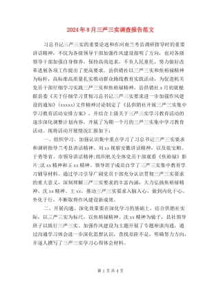 2024年8月三严三实调查报告范文